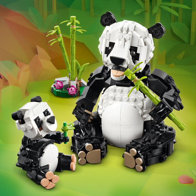 31165 Metsloomad: panda perekond