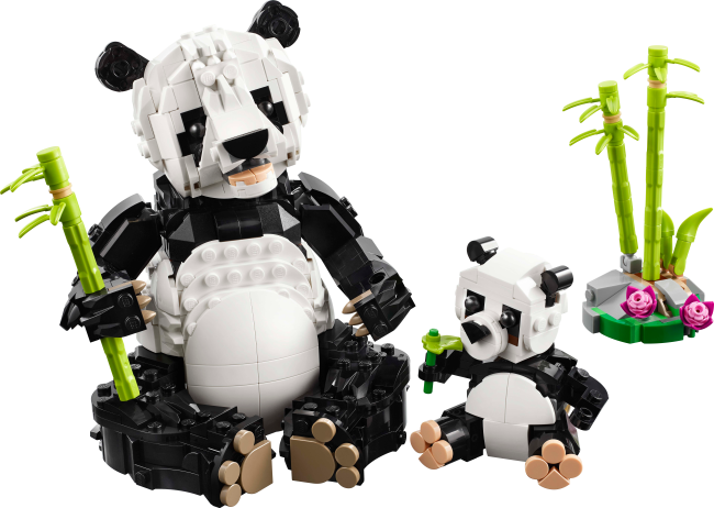 31165 Metsloomad: panda perekond