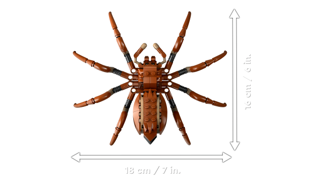 76434 Aragog keelatud metsas