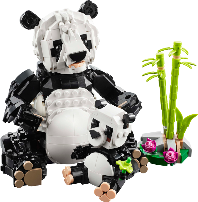 31165 Metsloomad: panda perekond