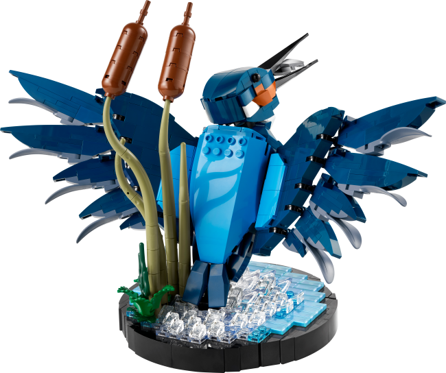 10331 Kingfisher lind