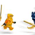 71810 LEGO Ninjago Pūķēns Riyu