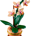 10343 LEGO Botanicals Мини-орхидея