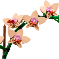 10343 LEGO Botanicals Мини-орхидея