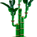 10344 LEGO Botanicals Õnnetoov bambus