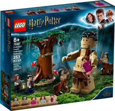 75967 LEGO Harry Potter Keelatud mets: Umbridge'i paljastamine